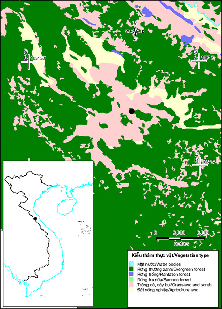 Kheveminhhoa