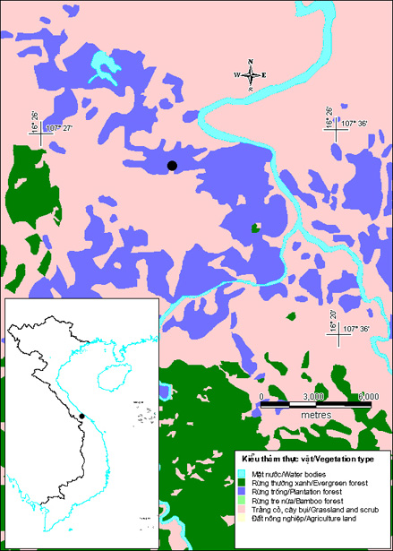 Taynamhue