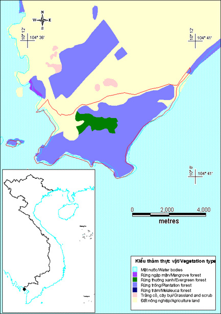 Honchong